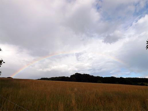 2016-08-dga-Regenbogen