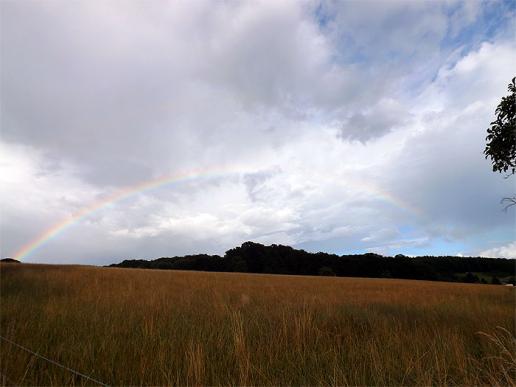 2016-08-dgb-Regenbogen