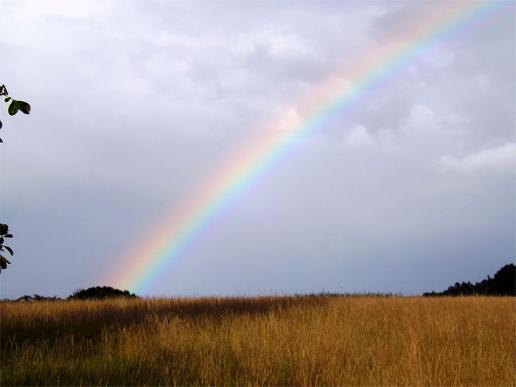 2016-08-dgc-Regenbogen