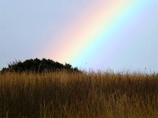 2016-08-dgd-Regenbogen