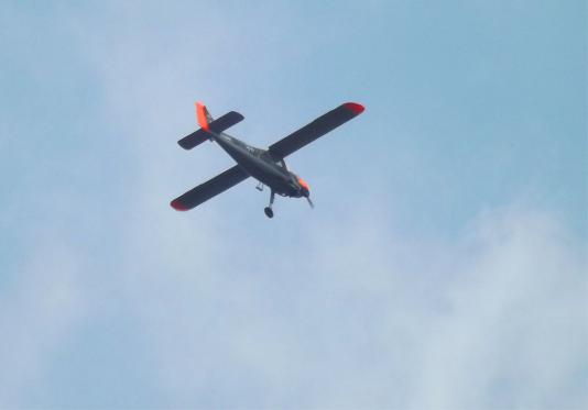 2016-09-bbf-Dornier-Do-27