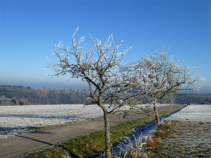 2017-01-abn-planetenweg