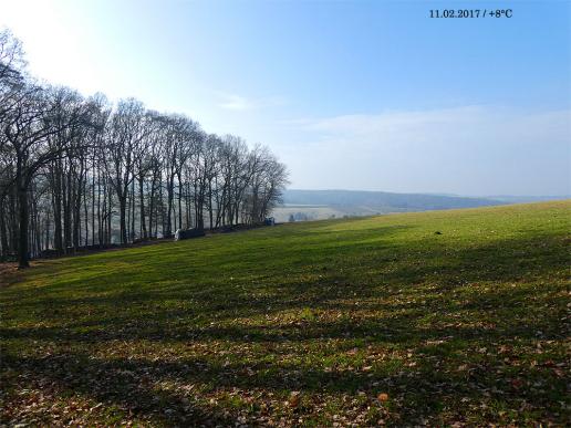 2017-02-bc-Odw-Frühling