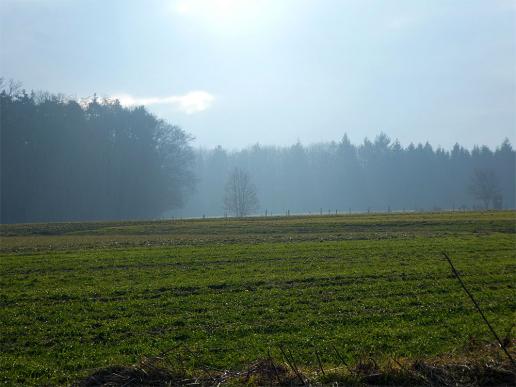 2017-02-bce-Odw-Frühling