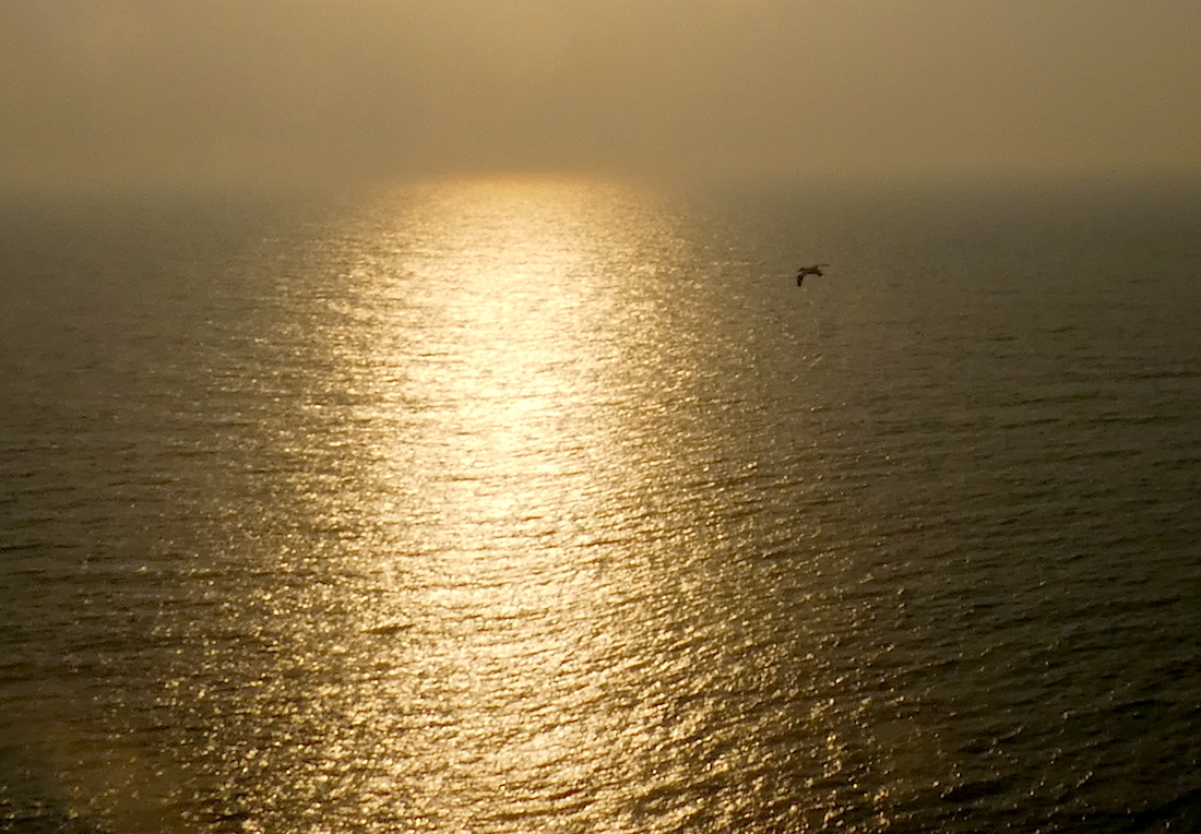 2017-03-hcb-helgoland-1