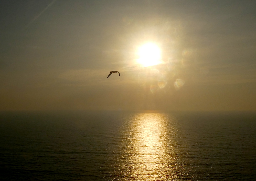 2017-03-hcc-helgoland-1