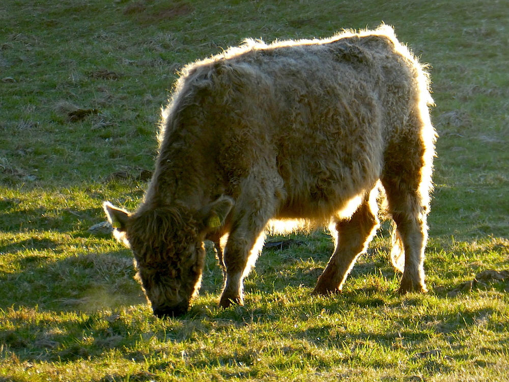 2017-04-abf-helgoland-1