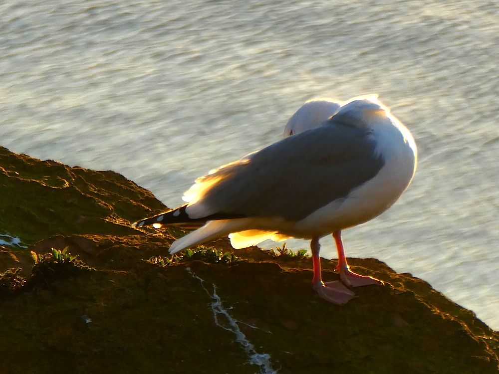 2017-04-abi-helgoland-1