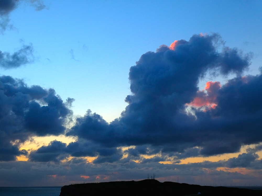 2017-04-buah-helgoland-1