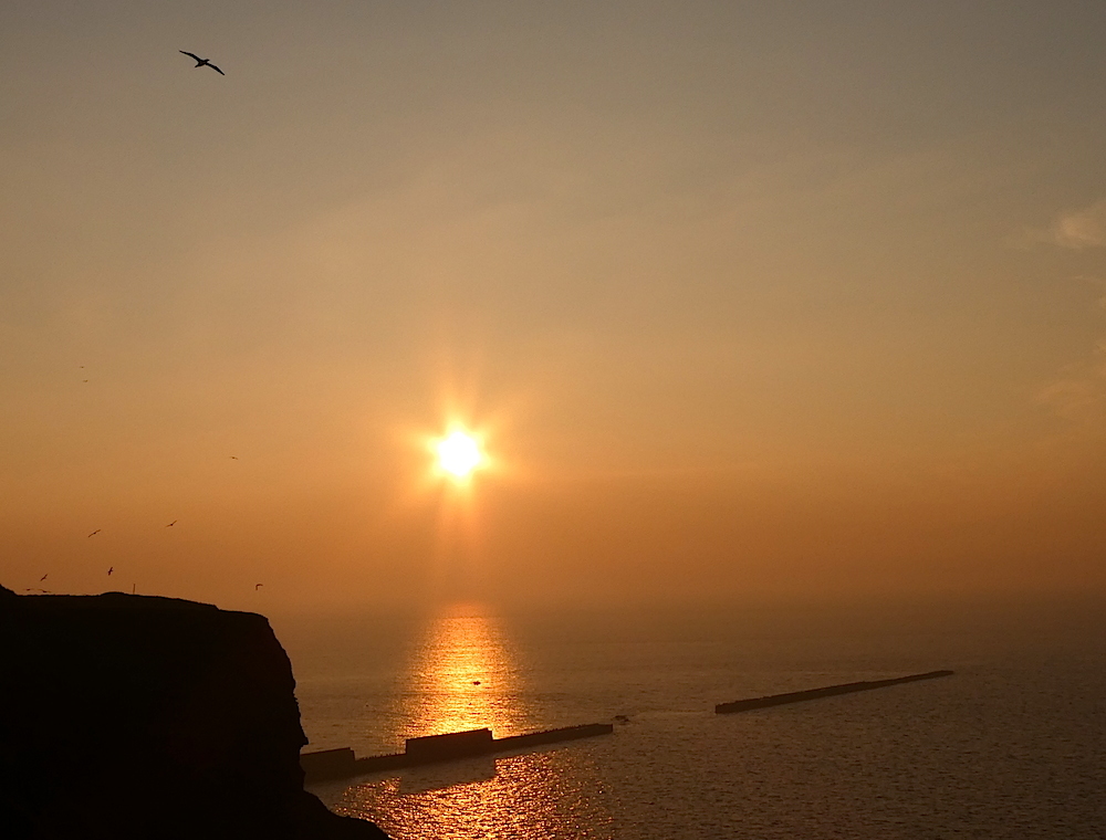 2017-05-adao-helgoland-1