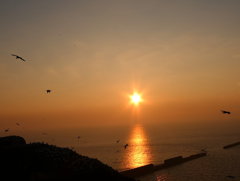 2017-05-adas-helgoland-1