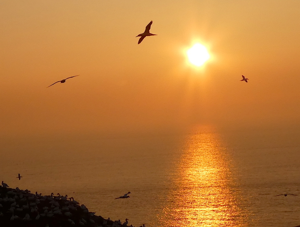 2017-05-adba-helgoland-1