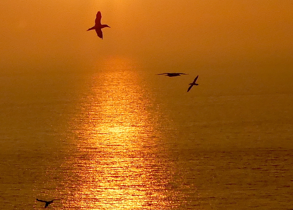 2017-05-adbb-helgoland-1