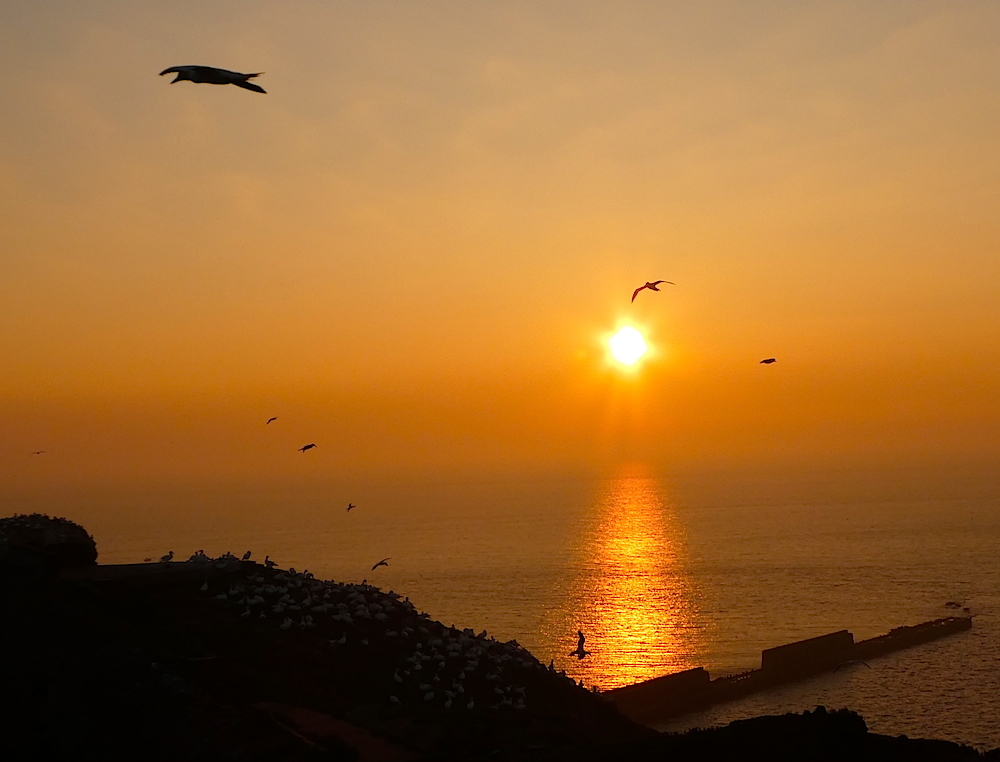 2017-05-adbf-helgoland-1