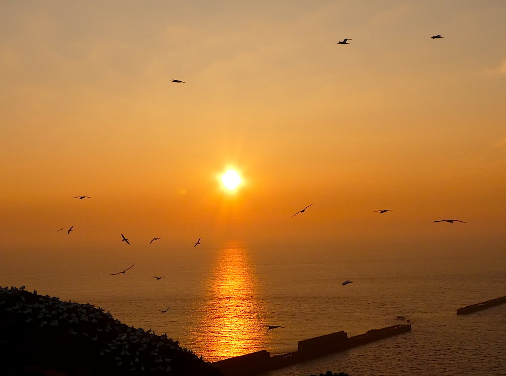 2017-05-adbg-helgoland-1