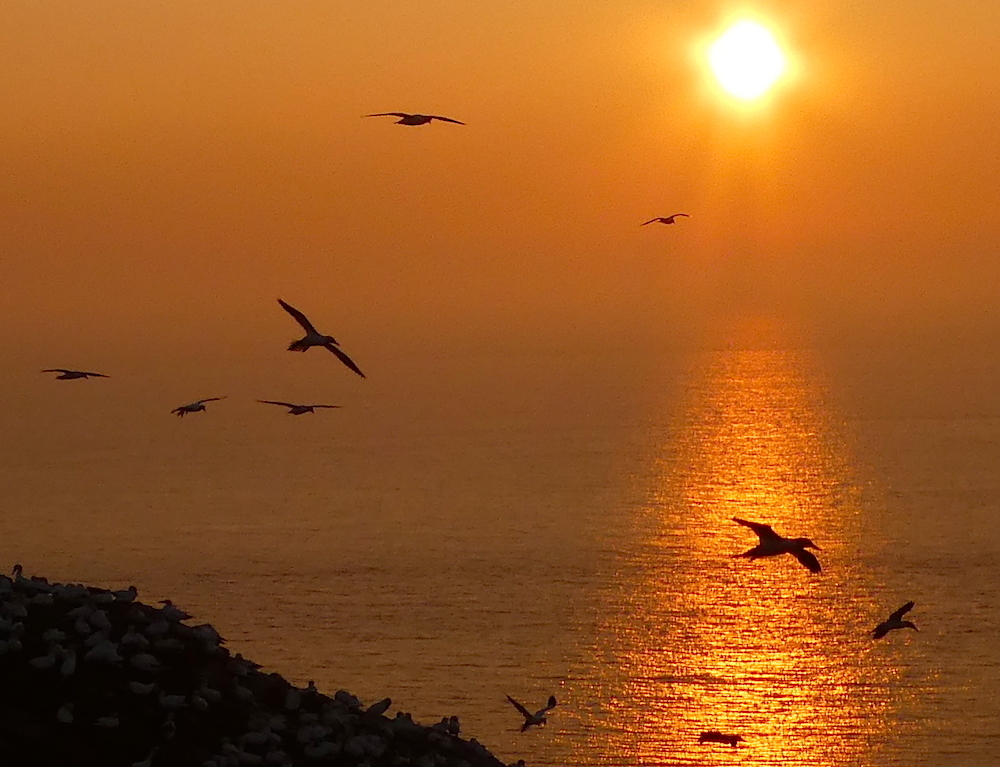 2017-05-adbh-helgoland-1