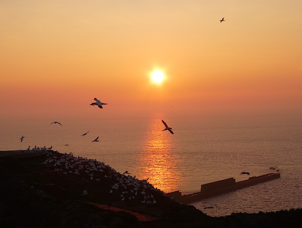 2017-05-adbm-helgoland-1