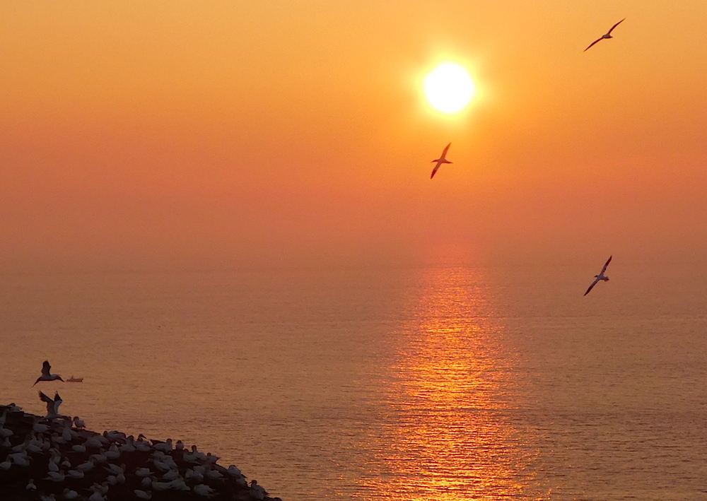 2017-05-adbn-helgoland-1