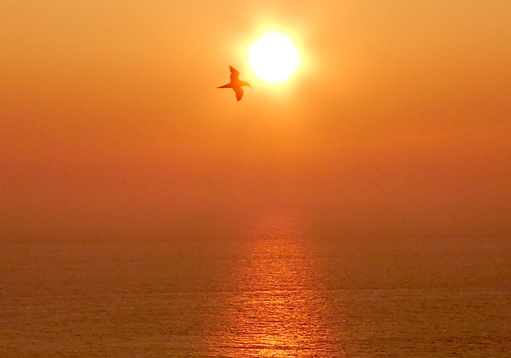 2017-05-adbo-helgoland-1