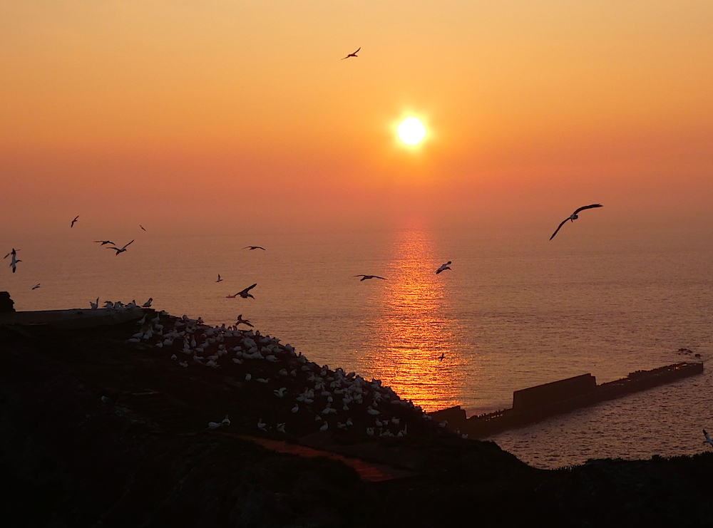 2017-05-adbq-helgoland-1