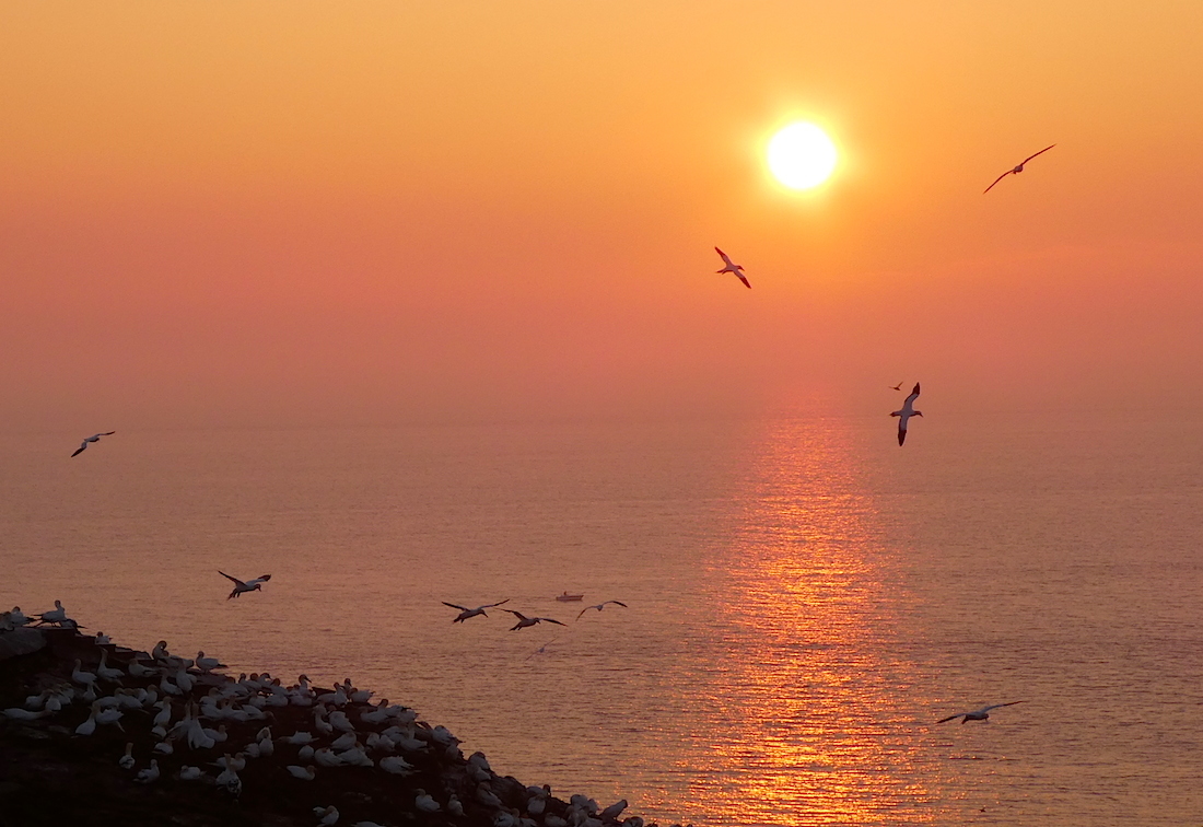 2017-05-adbw-helgoland-1