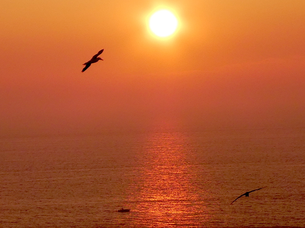 2017-05-adc-helgoland-1