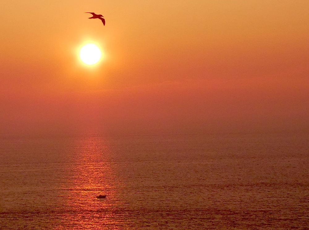 2017-05-adca-helgoland-1