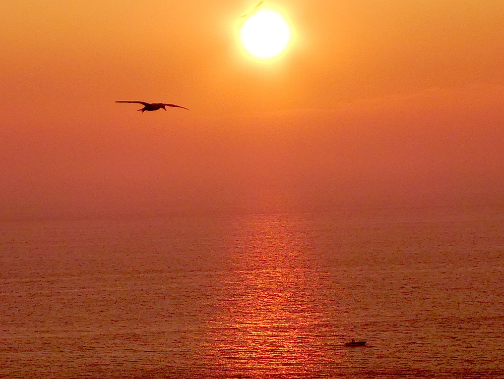 2017-05-adcb-helgoland-1