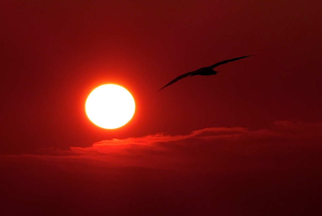 2017-05-adck-helgoland-1