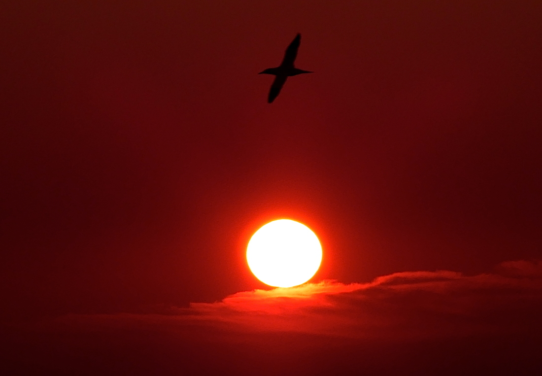 2017-05-adcl-helgoland-1