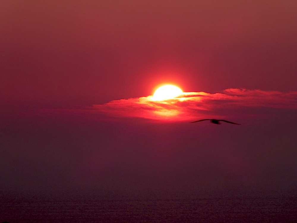 2017-05-adcp-helgoland-1