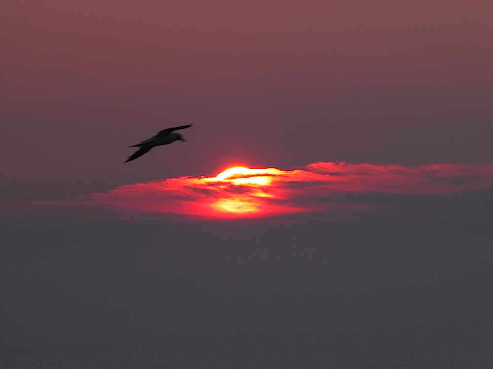 2017-05-adct-helgoland-1