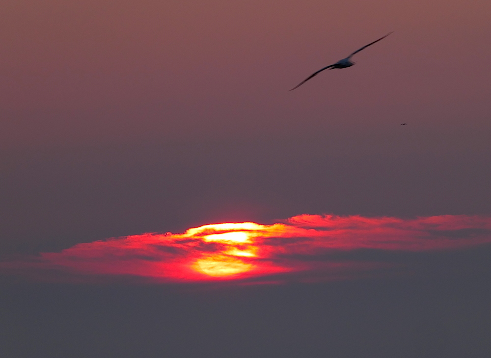 2017-05-adcu-helgoland-1