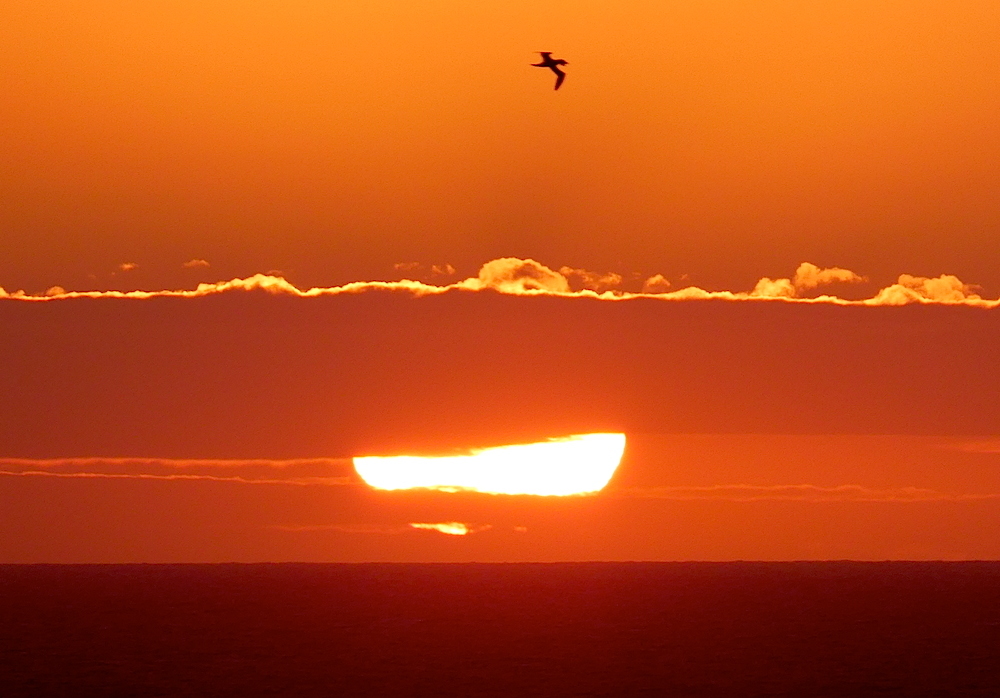 2017-05-aebf-helgoland-1