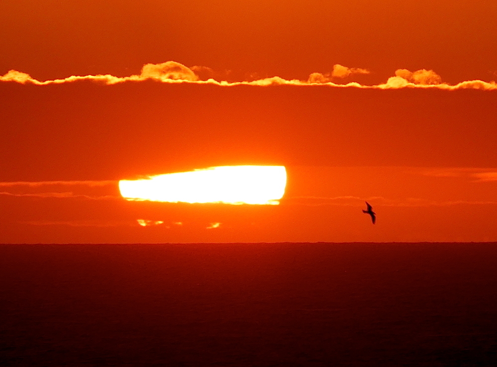 2017-05-aebg-helgoland-1