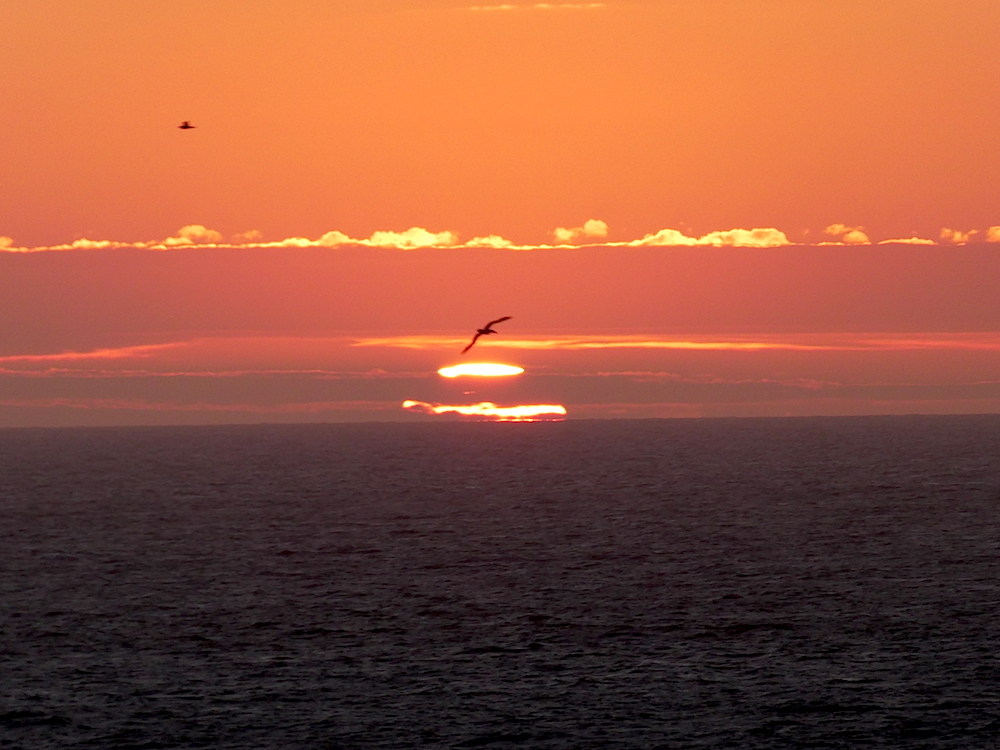 2017-05-aebm-helgoland-1