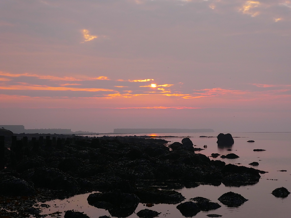 2017-05-agav-helgoland-1