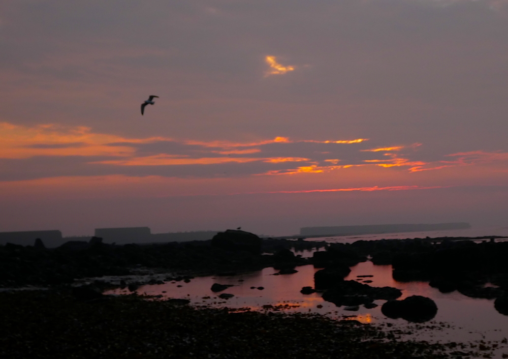 2017-05-agay-helgoland-1