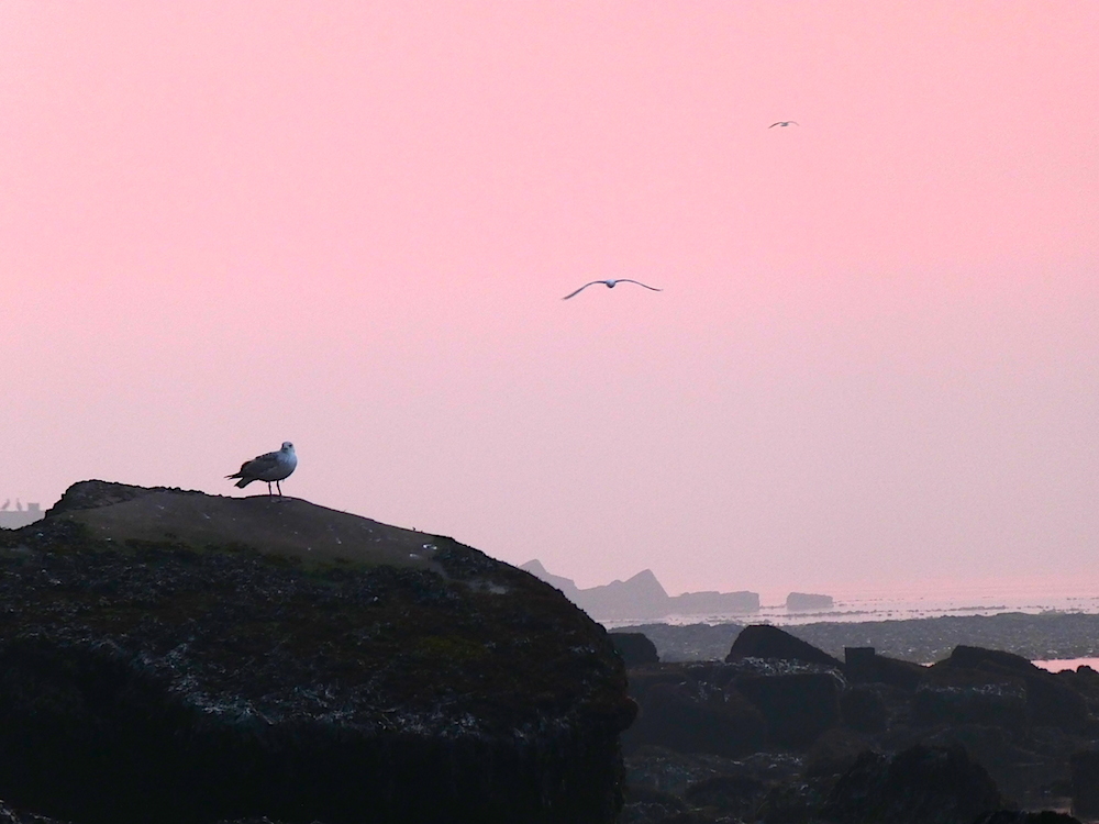 2017-05-agaz-helgoland-1