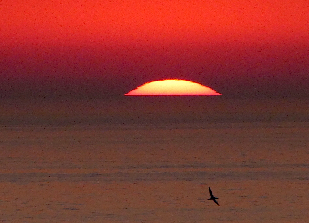 2017-05-baav-helgoland-1