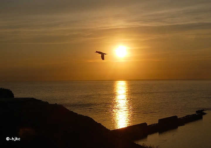 2017-08-abbza-helgoland-2