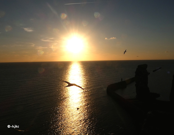 2017-08-acane-helgoland-1