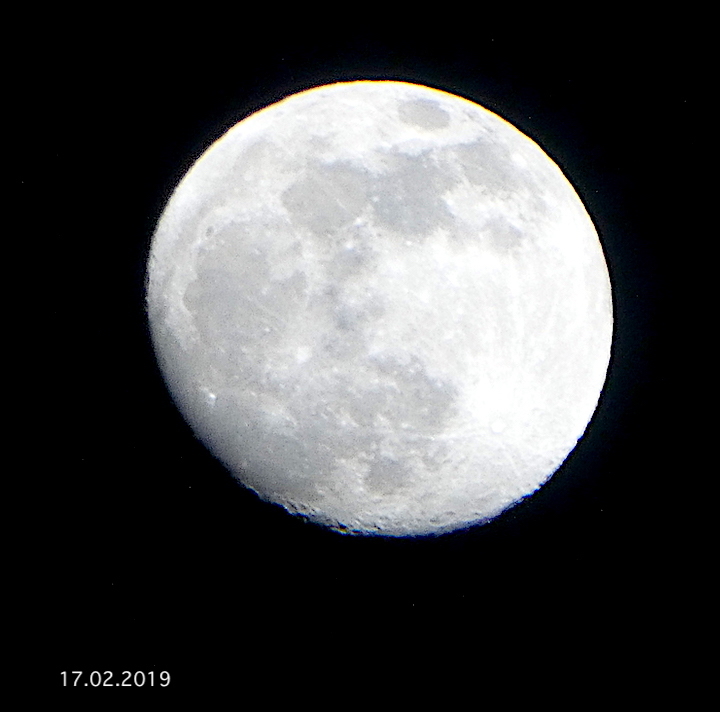 2019-02-bha-mond