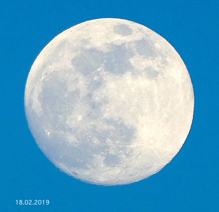 2019-02-cbc-mond