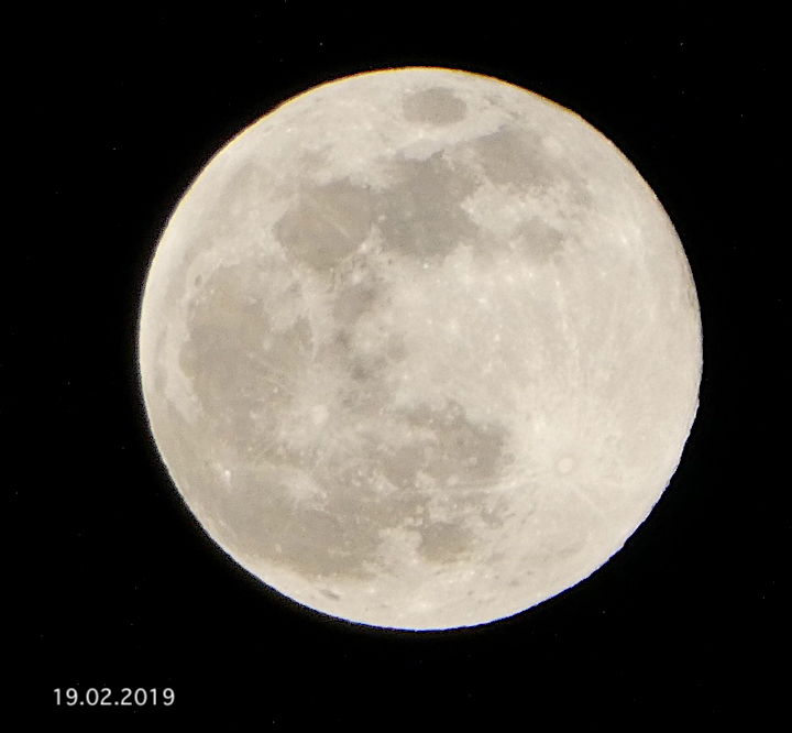 2019-02-cbia-mond