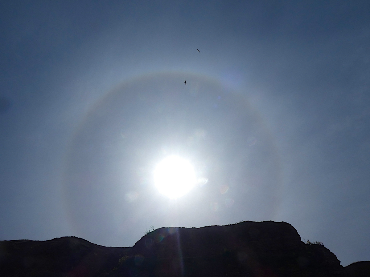 2020-05-dabif-sonnenhalo-helgoland