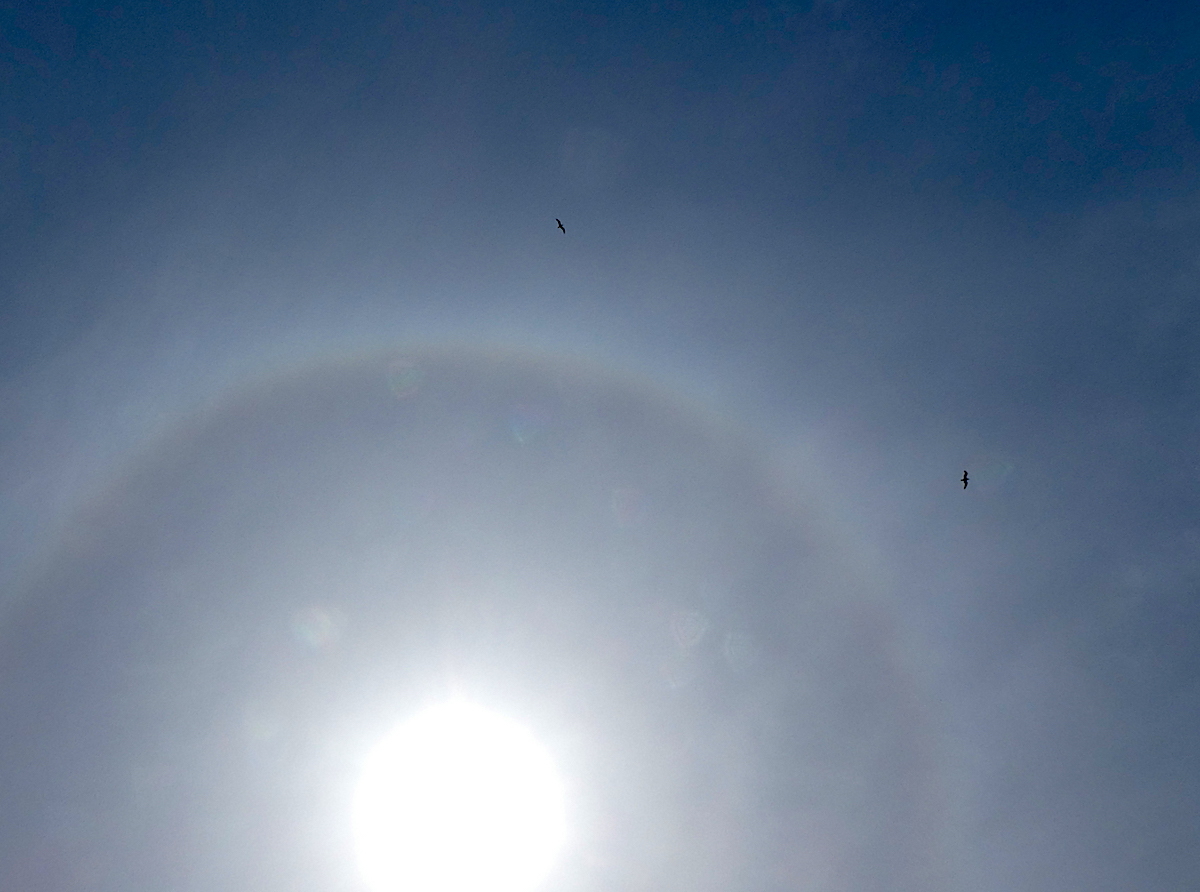 2020-05-dabig-sonnenhalo-helgoland