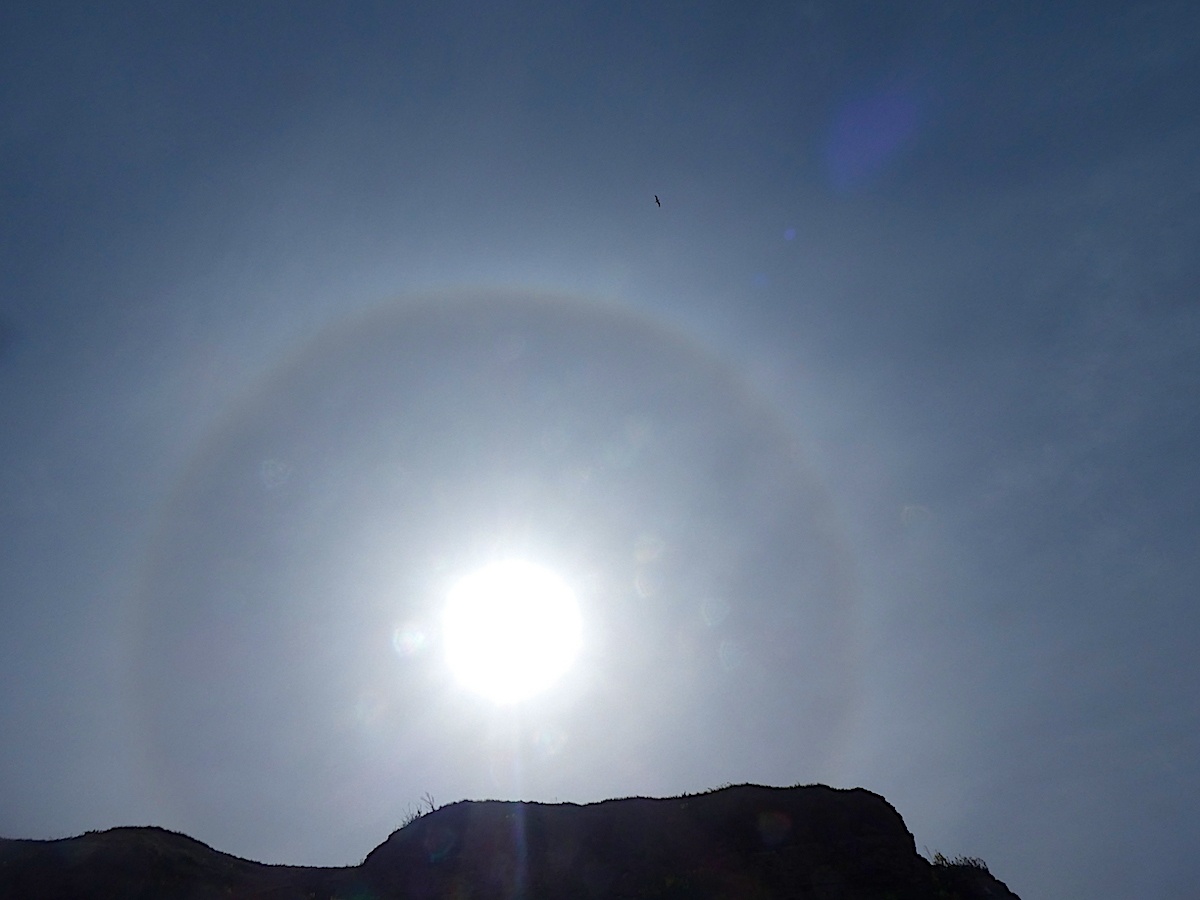 2020-05-dabih-sonnenhalo-helgoland