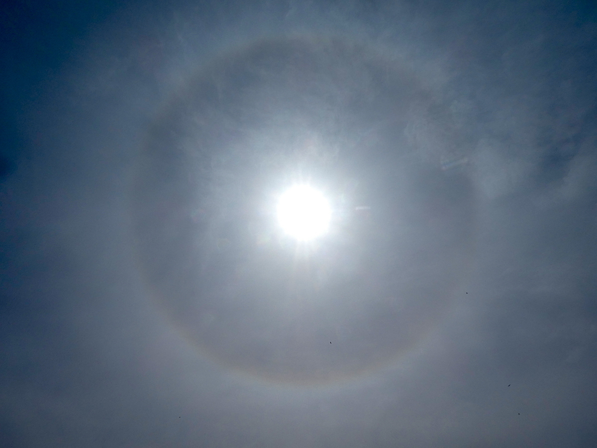 2020-05-dabik-sonnenhalo-helgoland