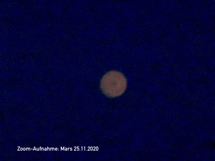 2020-11-bac-marsmond